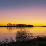 In 34041 Апартаменты